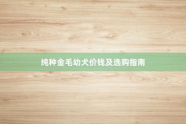 纯种金毛幼犬价钱及选购指南