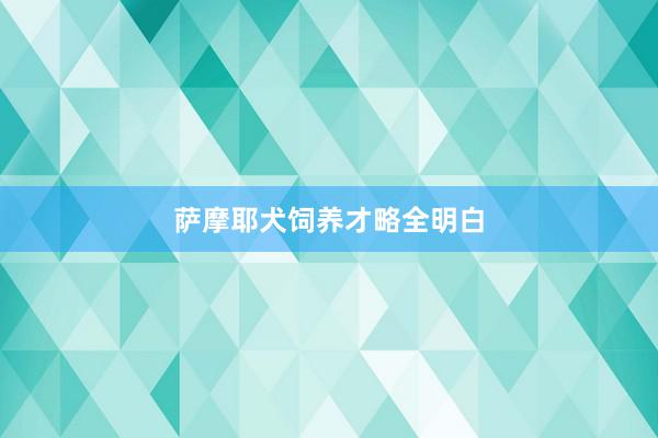 萨摩耶犬饲养才略全明白