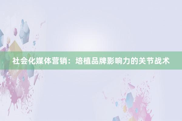 社会化媒体营销：培植品牌影响力的关节战术